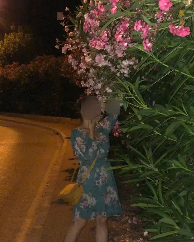 Dalia, envie d’un soir - Image 6